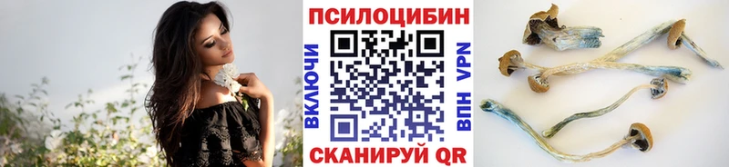 Галлюциногенные грибы Magic Shrooms  ОМГ ОМГ вход  Заволжск 