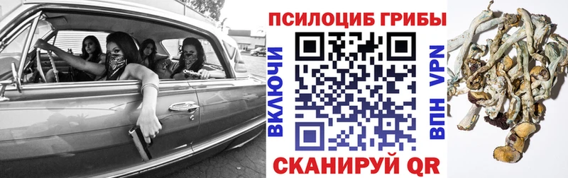 Псилоцибиновые грибы Psilocybine cubensis Заволжск